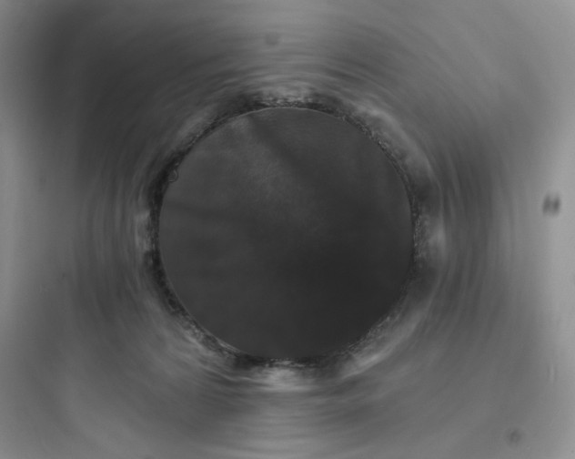 X0000097670224200803211950