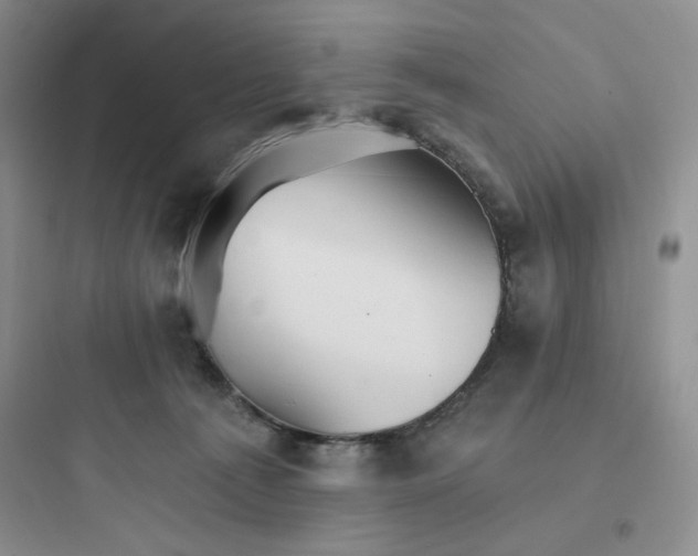 X0000097670225200803211950