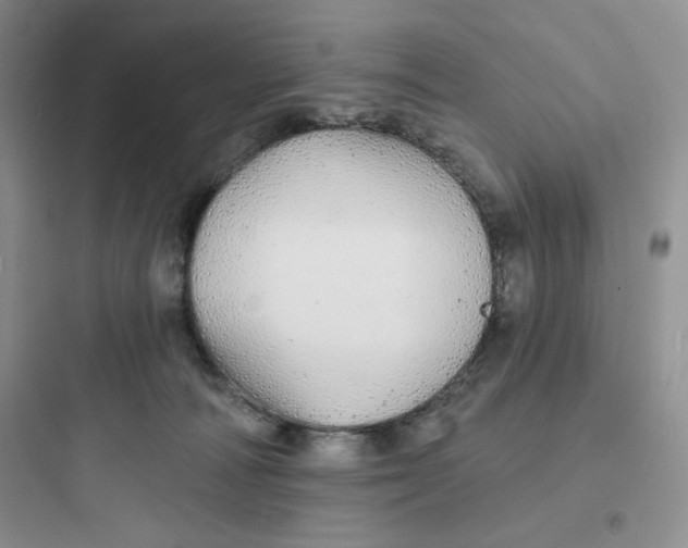 X0000097670226200803211950