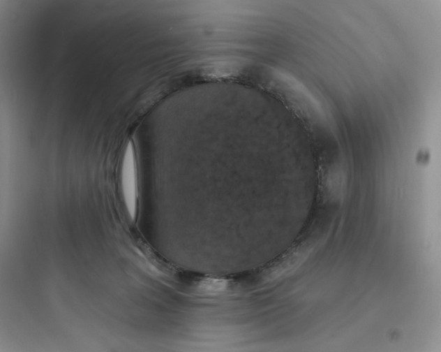 X0000097670227200803211950