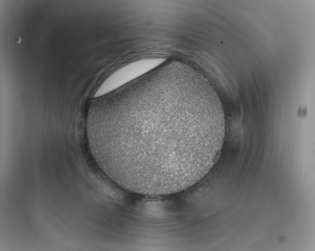 X0000097670228200803211950