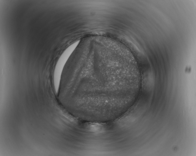 X0000097670229200803211950