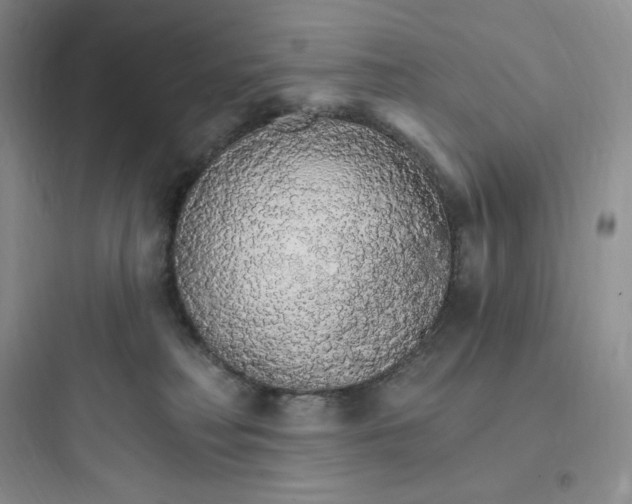 X0000097670230200803211950