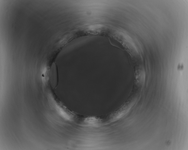 X0000097670231200803211950