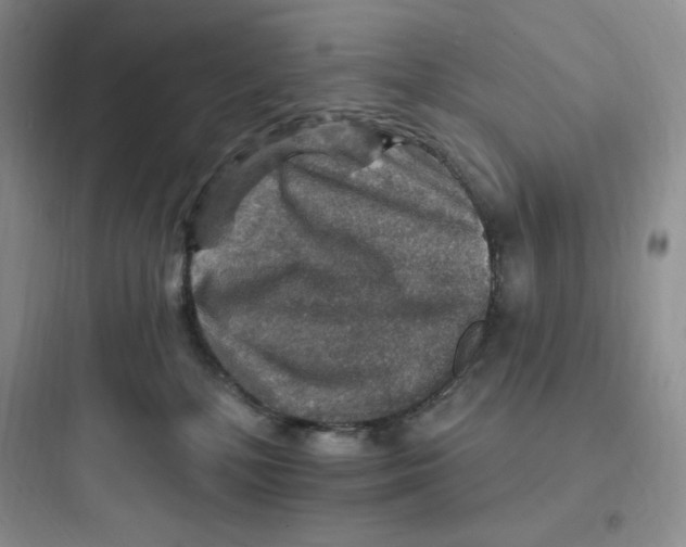X0000097670232200803211950