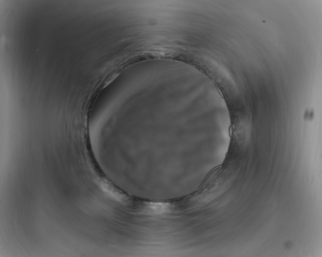 X0000097670233200803211950