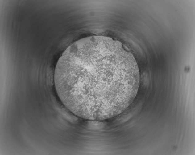 X0000097670234200803211950