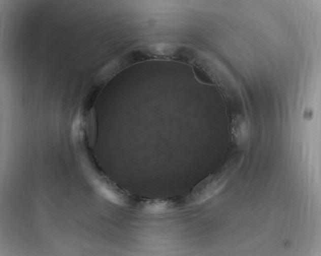 X0000097670235200803211950