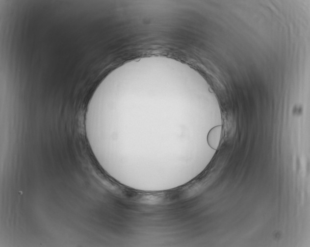 X0000097670236200803211950