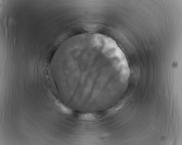 X0000097670237200803211950
