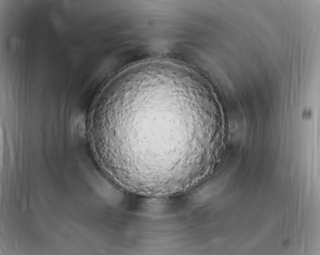 X0000097670238200803211950