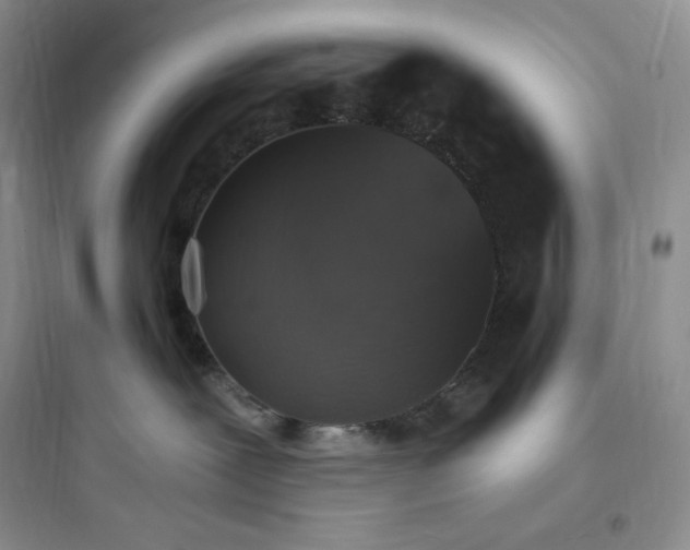 X0000097670239200803211950