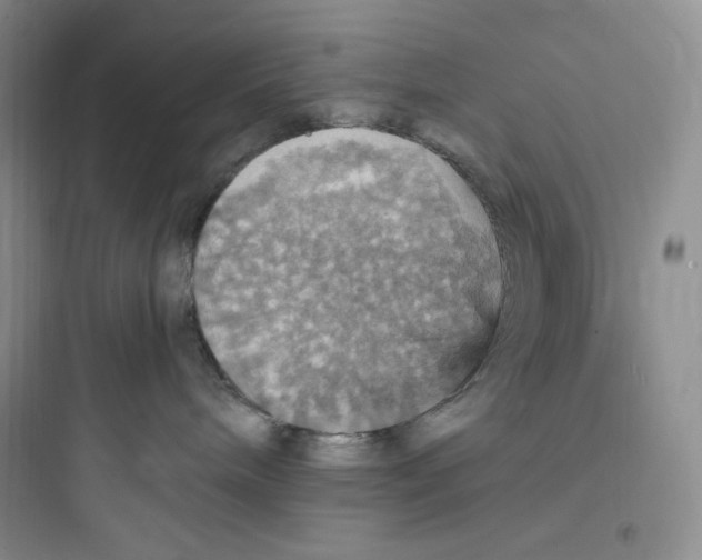 X0000097670240200803211950