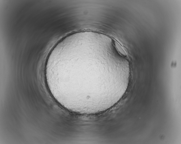 X0000097670241200803211949