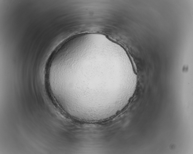 X0000097670242200803211949