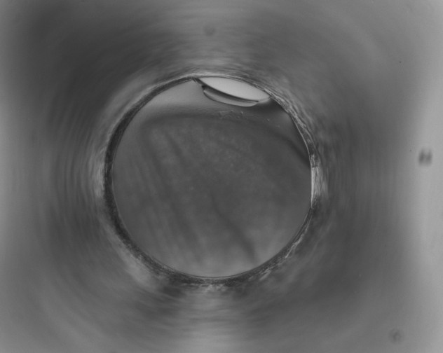 X0000097670243200803211949