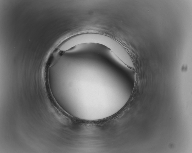 X0000097670244200803211949