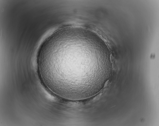 X0000097670245200803211949