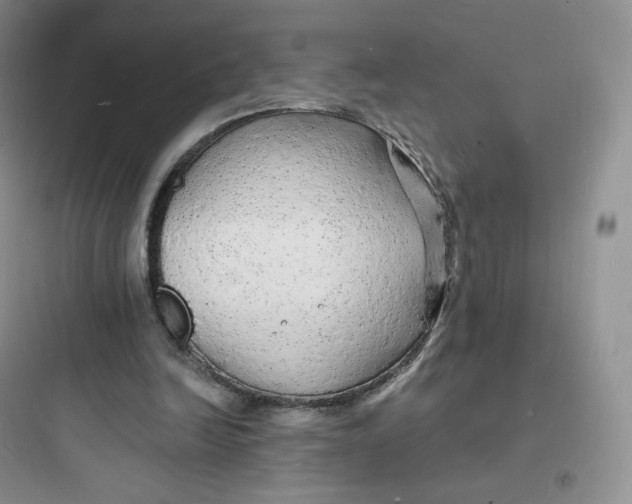 X0000097670246200803211949