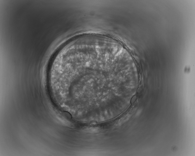 X0000097670247200803211949