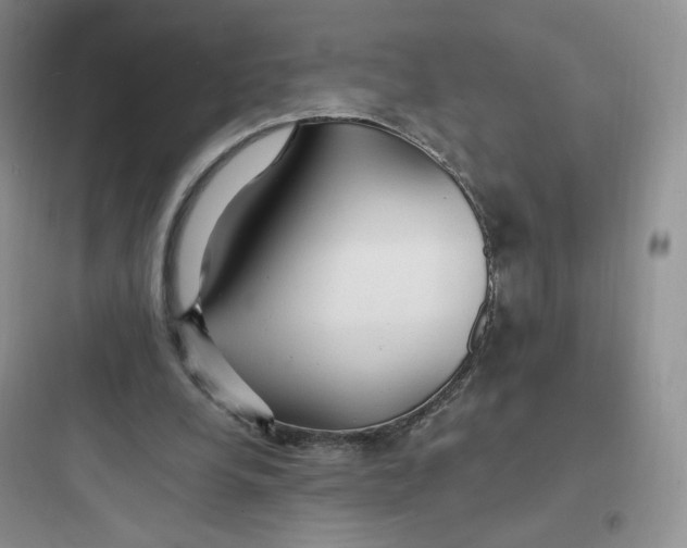 X0000097670248200803211949