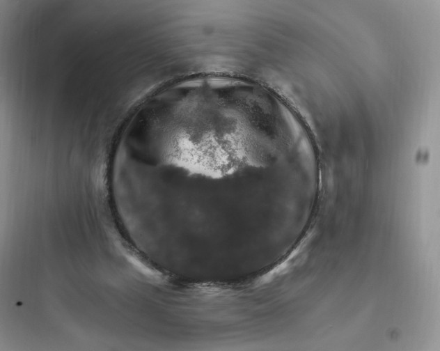 X0000097670249200803211949