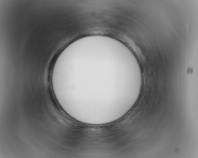 X0000097670250200803211949