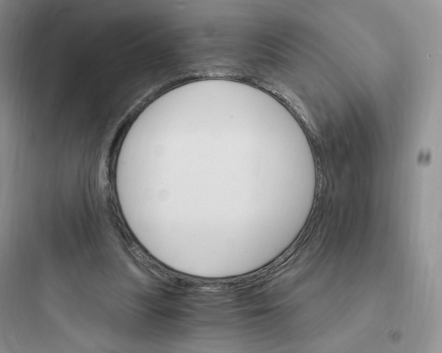 X0000097670251200803211949