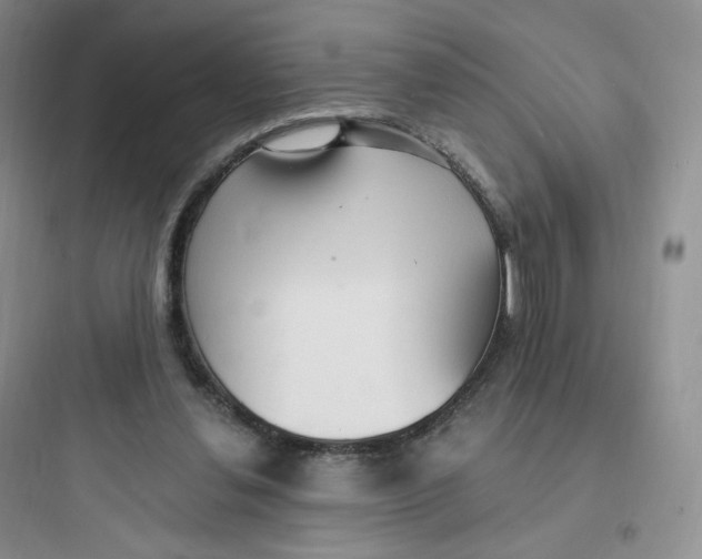 X0000097670252200803211949