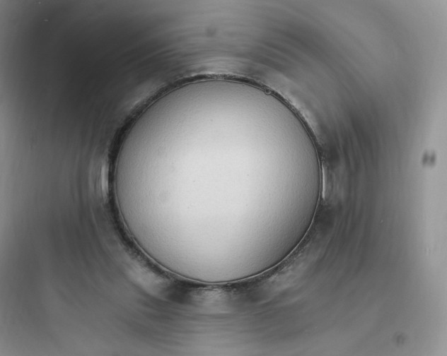 X0000097670253200803211949