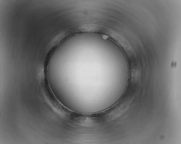 X0000097670254200803211949