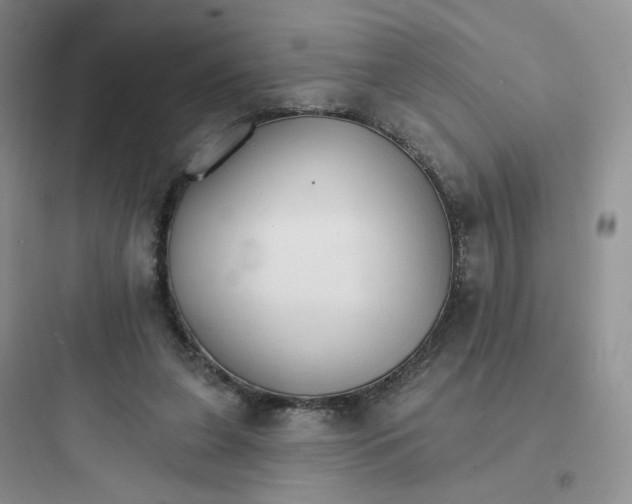 X0000097670255200803211949