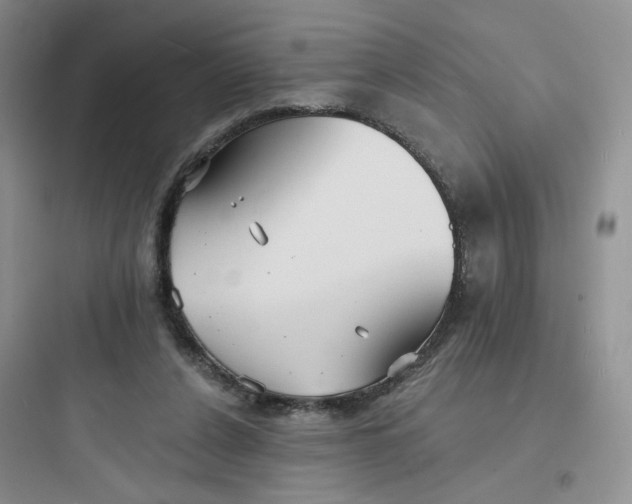 X0000097670256200803211949