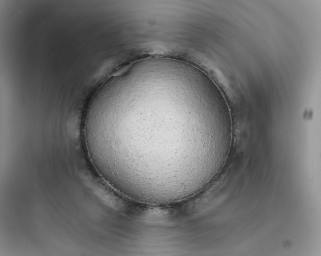 X0000097670257200803211949