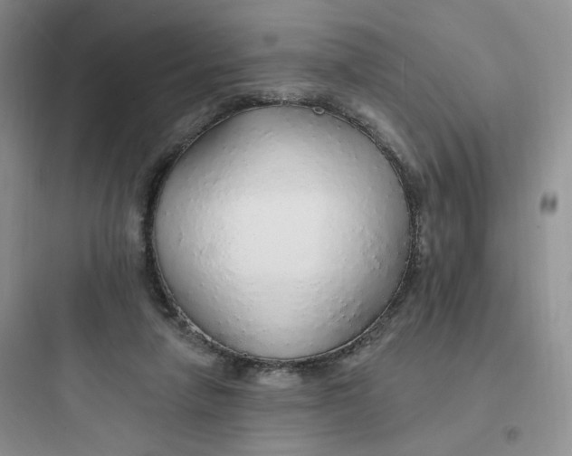 X0000097670258200803211949