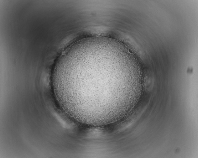 X0000097670259200803211949