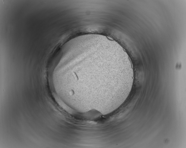 X0000097670260200803211949