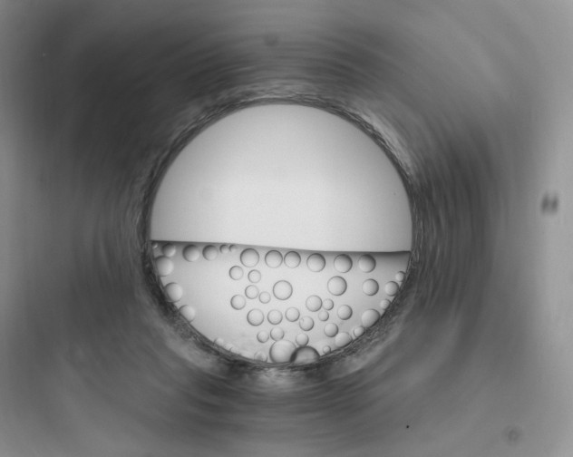 X0000097670261200803211949