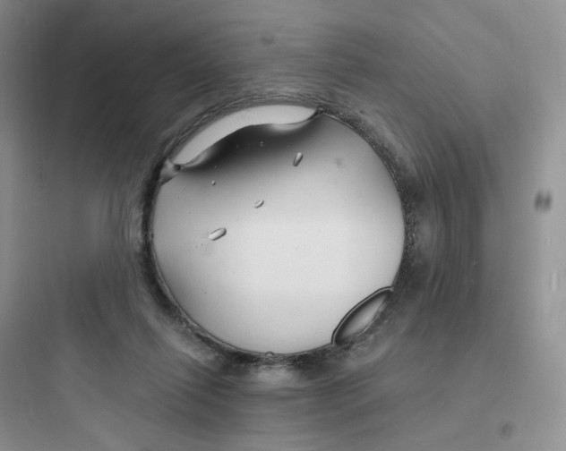 X0000097670262200803211949