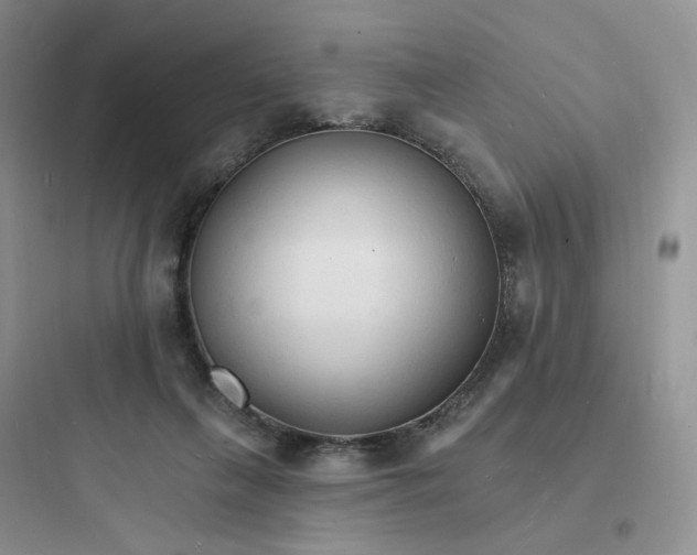 X0000097670263200803211949