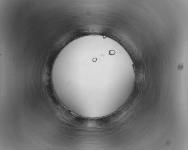 X0000097670264200803211949