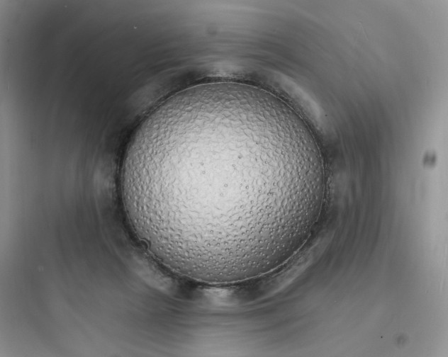 X0000097670265200803211949