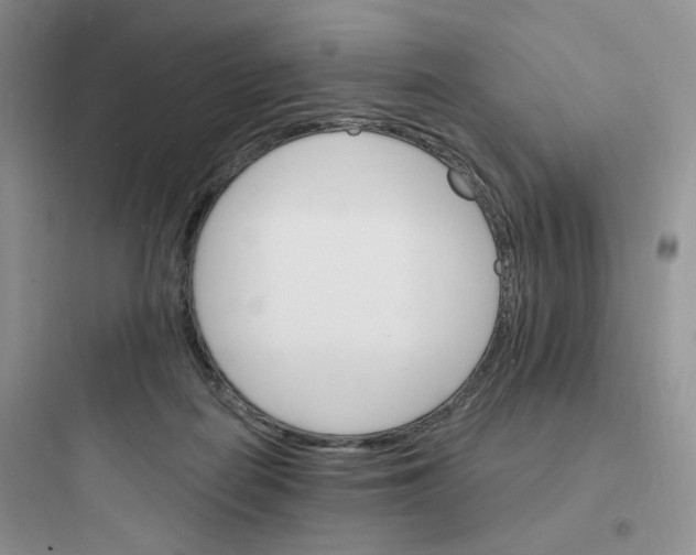 X0000097670266200803211949