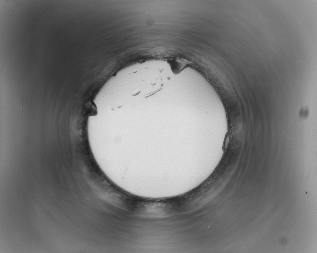 X0000097670268200803211950