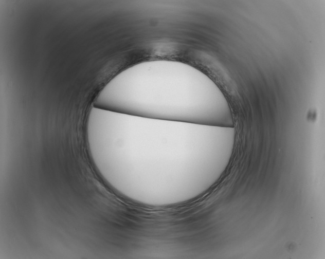 X0000097670269200803211950