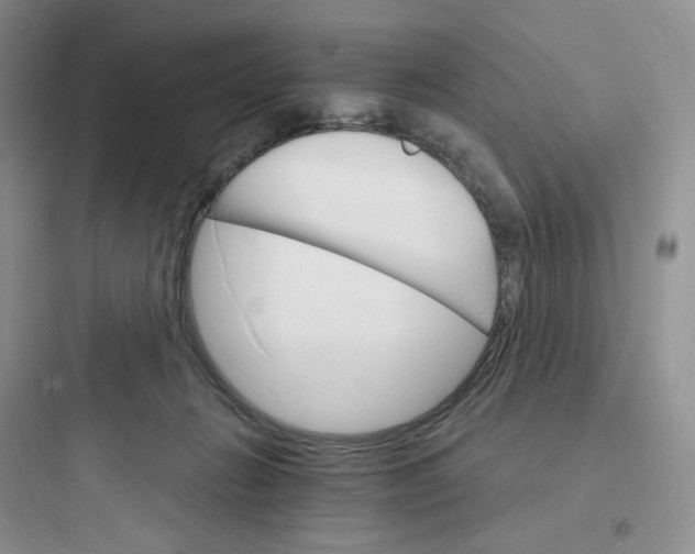 X0000097670270200803211950