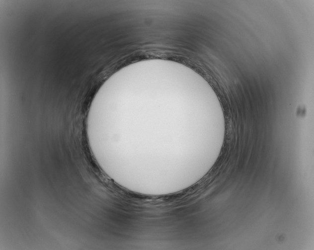 X0000097670271200803211950