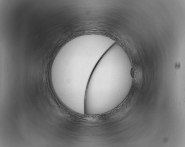 X0000097670272200803211950