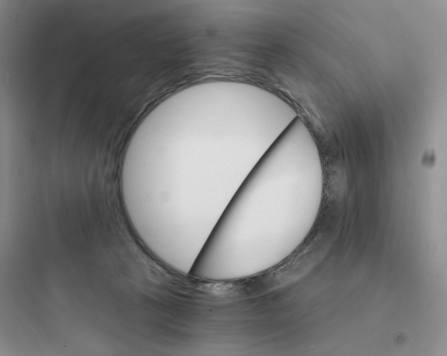 X0000097670273200803211950