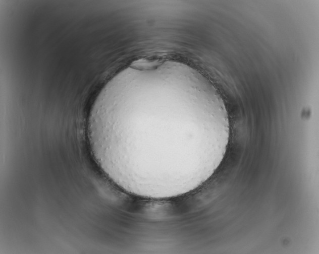 X0000097670274200803211950
